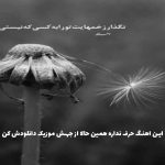 دانلود آهنگ چند سالته که آدمو آروم میکنی حال دلو خوب میکنی از هایده و امیر تتلو (هوش مصنوعی)